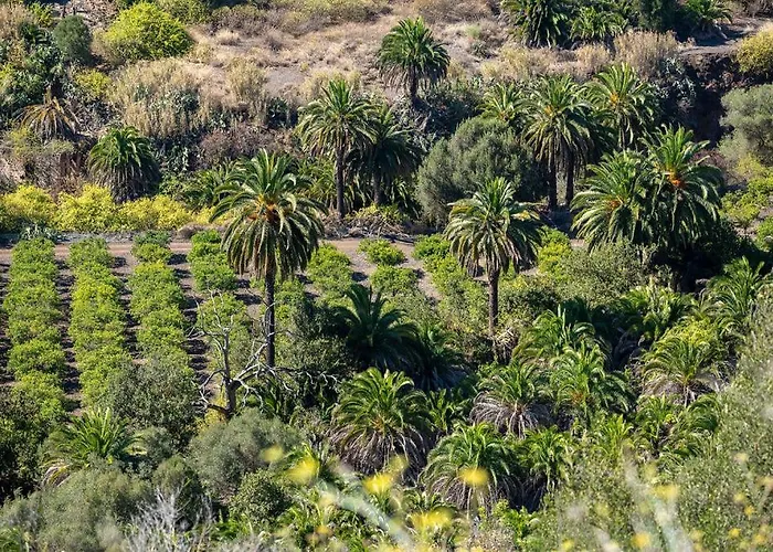 빌라 Sea View Vista Golf *